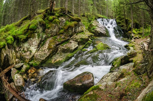 Waterfall in deep forest at mountains, Retezat national park, Romania. Made using fisheye lens.