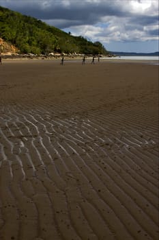   people  river   palm  rock stone branch hill lagoon and coastline in madagascar nosy be
