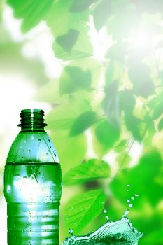 Bottle of mineral water on green nature background