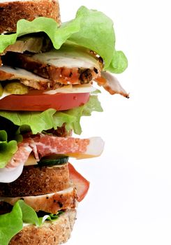 Frame of Tasty Turkey Meat Sandwich with Cheese, Tomato, Bacon, Marinated  Gherkins and Lettuce on Whole Wheat Bread isolated on white background