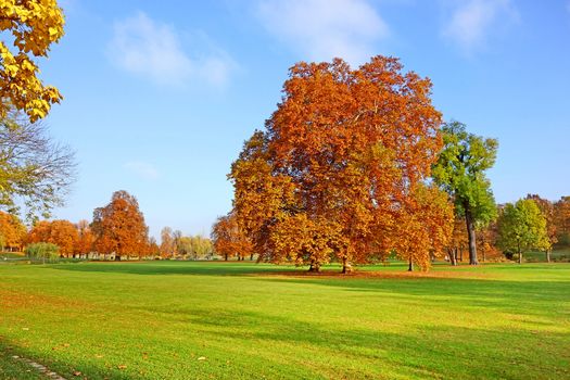 Colorful autumn landscape - vibrant trees in park, blue sky