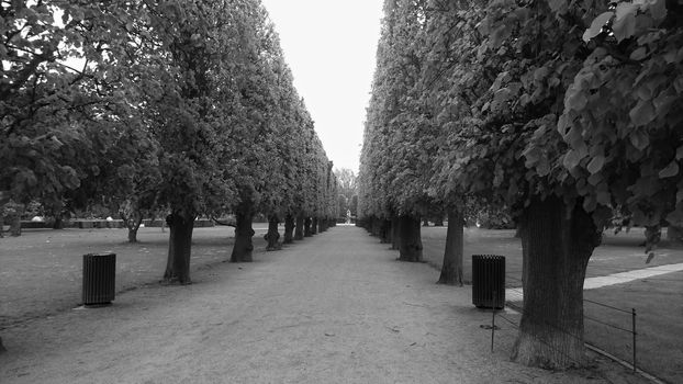 Trees in park, Copenhagen







Trees in park, cpoenhagen