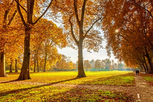 Colorful autumn landscape - vibrant trees in park, sunshine / sunset / sunrise