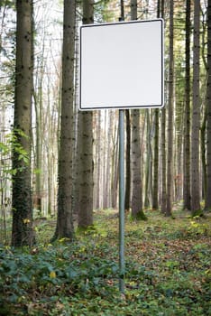 Image of empty white sign with free space in forest