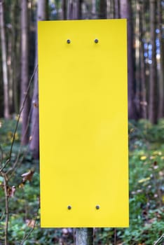 Image of empty yellow sign with free space in forest