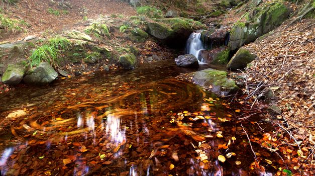 autumn landscape with river in forest