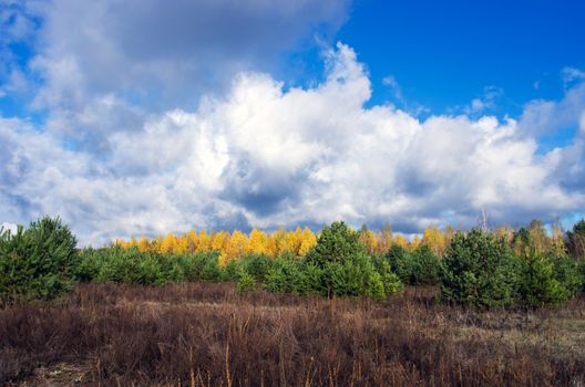 Autumn Landscape. Park in Autumn. The bright colors of autumn in the park by the lake.