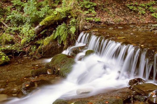 Beautiful autumn waterfall in forest with green foliage