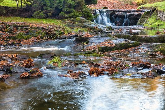 River runs over boulders in the primeval forest