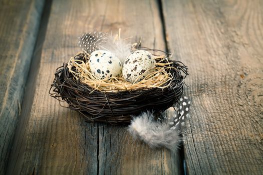quail eggs in nest on wooden background
