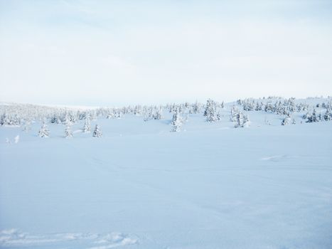 Winter landscape from Norway