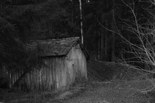 Old shed in greytones