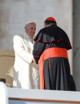 ITALY, Vatican City: Pope Francis greets a cardinal before holding his weekly general audience in Vatican City on November 11, 2015. During his address, the pope spoke on the importance of family and togetherness, telling devotees that a family who turns its attention to TVs and smartphones at dinner is hardly a family.