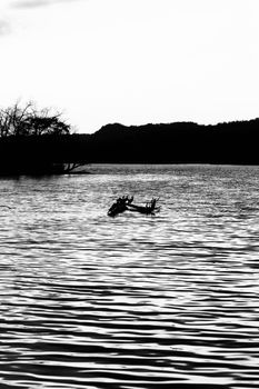 Beautiful black and white landscape of the lake in the evening before sunset