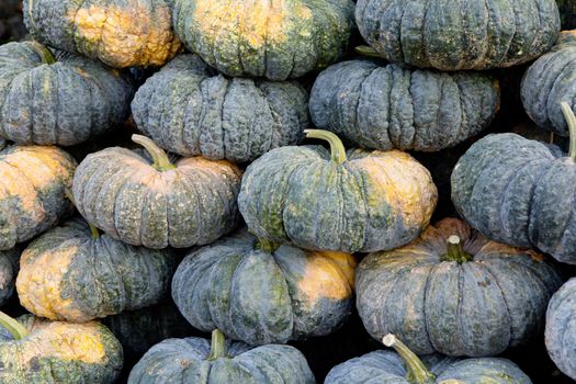 Pile of pumpkin in market background