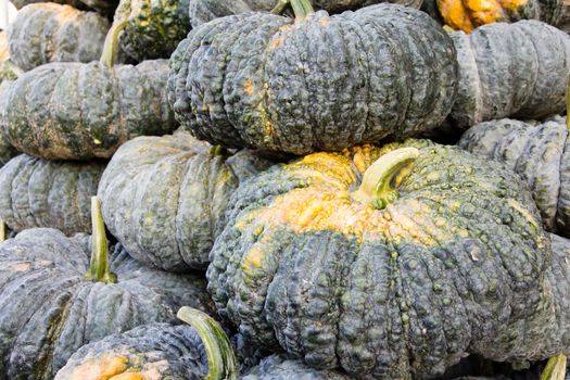 Pile of pumpkin in market background