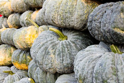 pile of fresh pumpkin in market