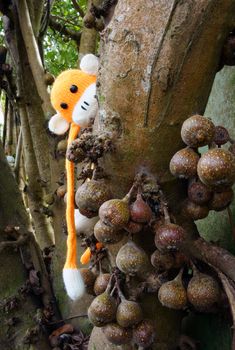 Amazing scene with group of knitted monkey climb tree, 2016 is year of the monkey, monkey symbol in colorful yarn to happy new year