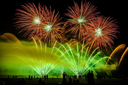 Colorful fireworks of various colors over night sky with spectators