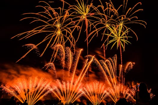 Colorful fireworks of various colors over night sky with spectators