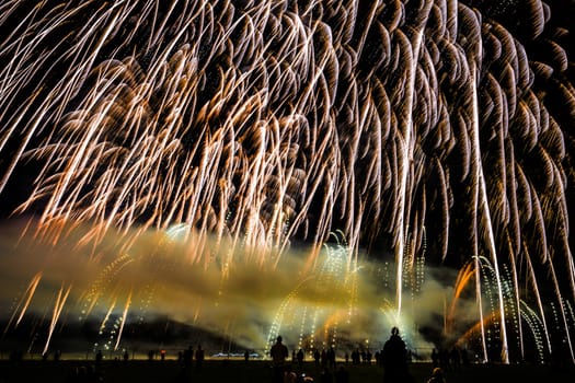 Colorful fireworks of various colors over night sky with spectators