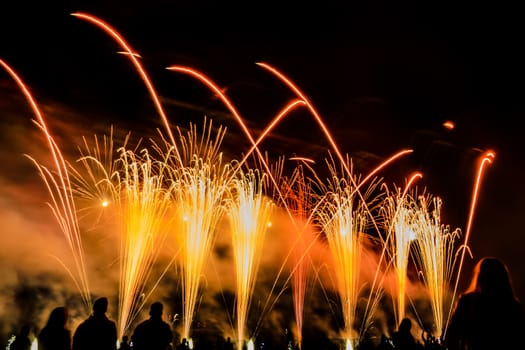 Colorful fireworks of various colors over night sky with spectators