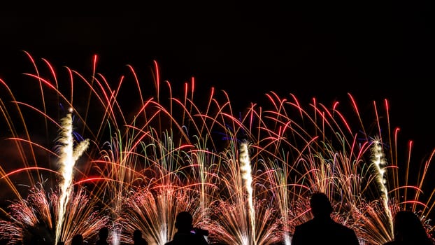 Colorful fireworks of various colors over night sky with spectators