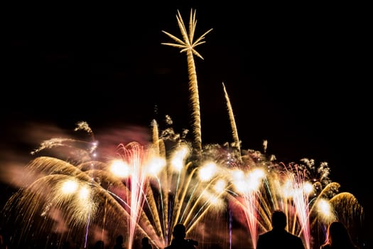 Colorful fireworks of various colors over night sky with spectators