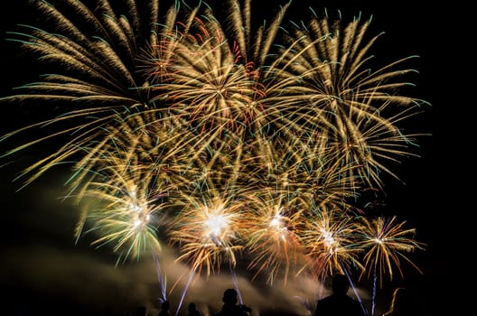 Colorful fireworks of various colors over night sky with spectators