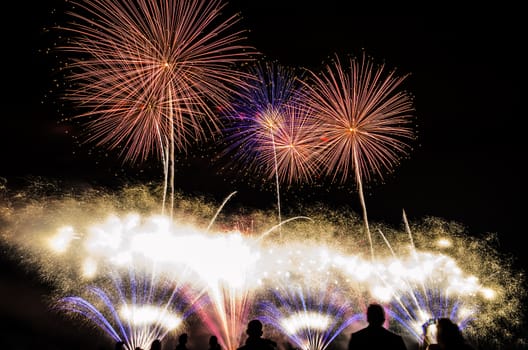 Colorful fireworks of various colors over night sky with spectators