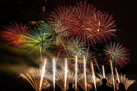 Colorful fireworks of various colors over night sky with spectators