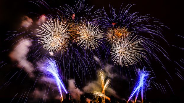 Colorful fireworks of various colors over night sky with spectators