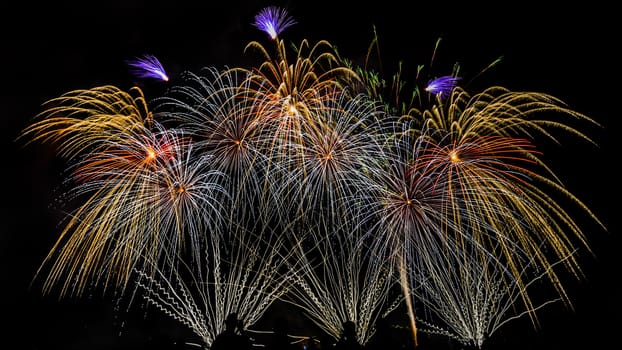 Colorful fireworks of various colors over night sky with spectators