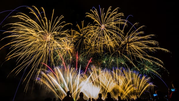 Colorful fireworks of various colors over night sky with spectators