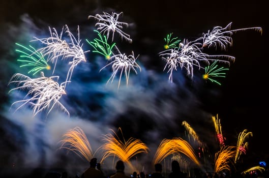 Colorful fireworks of various colors over night sky with spectators