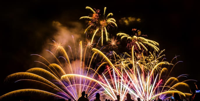 Colorful fireworks of various colors over night sky with spectators