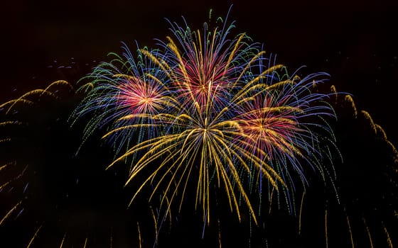 Colorful fireworks of various colors over night sky with spectators