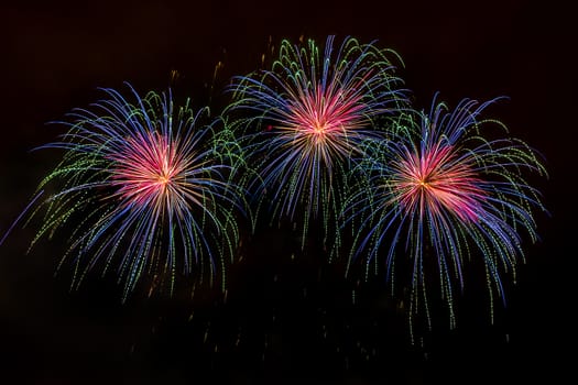 Colorful fireworks of various colors over night sky with spectators