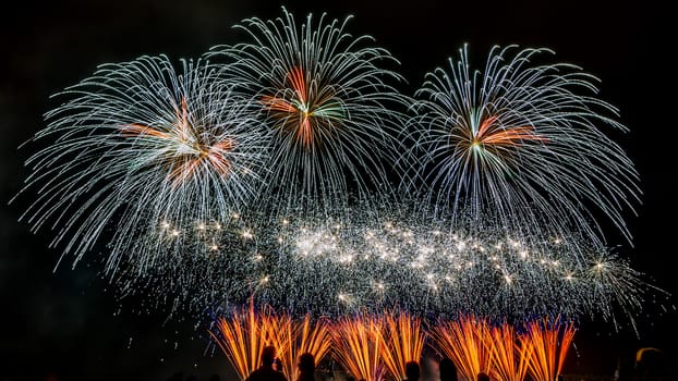 Colorful fireworks of various colors over night sky with spectators