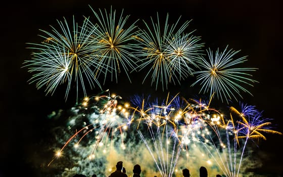 Colorful fireworks of various colors over night sky with spectators