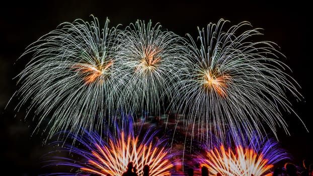 Colorful fireworks of various colors over night sky with spectators