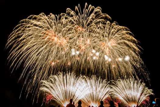 Colorful fireworks of various colors over night sky with spectators