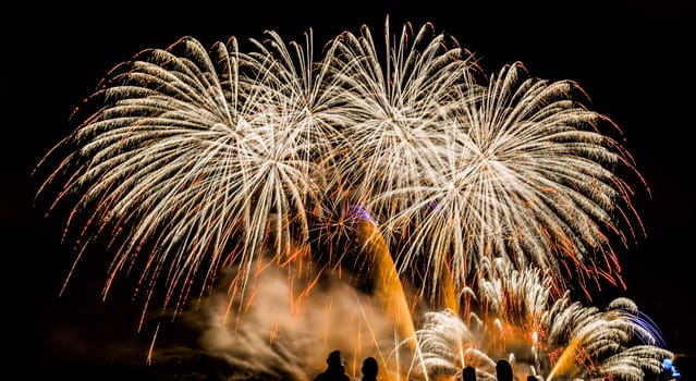 Colorful fireworks of various colors over night sky with spectators