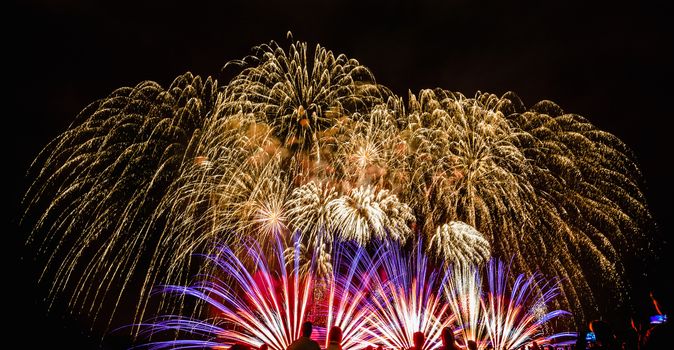 Colorful fireworks of various colors over night sky with spectators