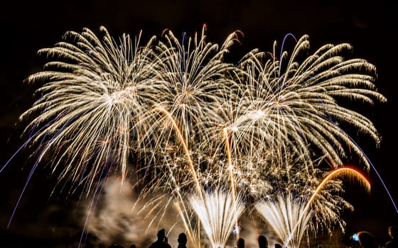 Colorful fireworks of various colors over night sky with spectators