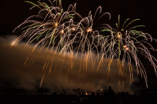 Colorful fireworks of various colors over night sky with spectators