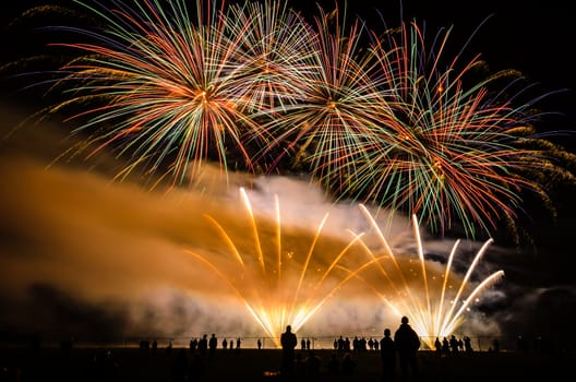 Colorful fireworks of various colors over night sky with spectators