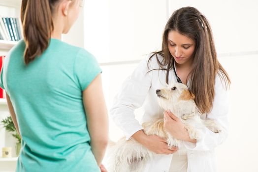 Young female vet with a cute beautiful dog and owner.