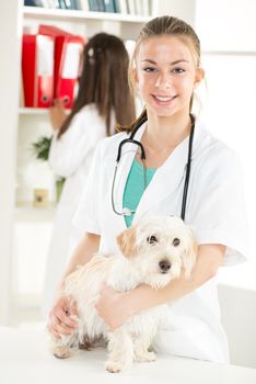 Young female vet with a cute beautiful dog.