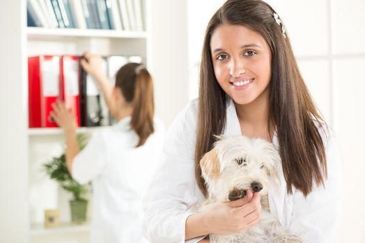 Young female vet with a cute beautiful dog.